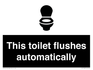 This toilet flushes automatically